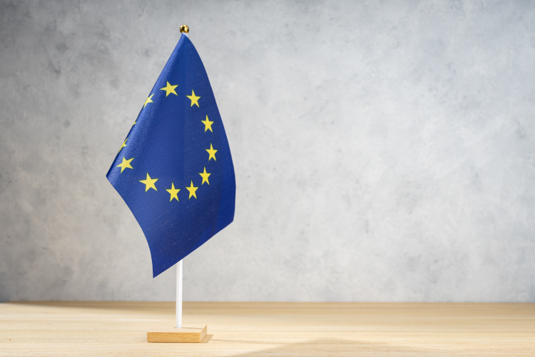 Binding corporate rules and EDPB recommendations submission image