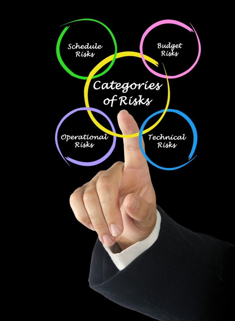Risk assessment materials used to discuss governance and high-risk services.